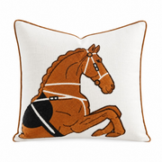 Cushion Care Guide: Velvet, Embroidery, Fringe, Knit & Textured Fabrics