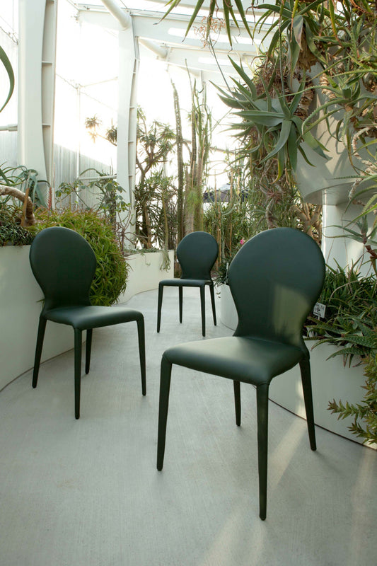 Elisio's Statement Chair