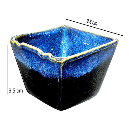 DC302 BOWL BLUE