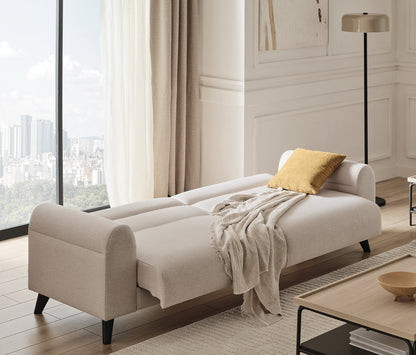 Paloma Sleeper Sofa with Storage by Enza Home