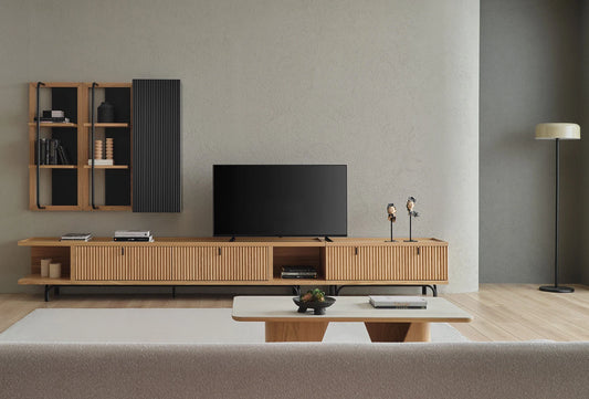 Austin TV Unit